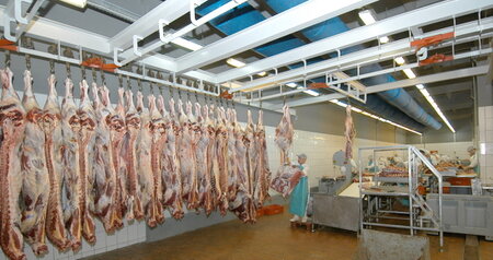 Дезинсекция на мясокомбинате в Пушкино, цены на услуги